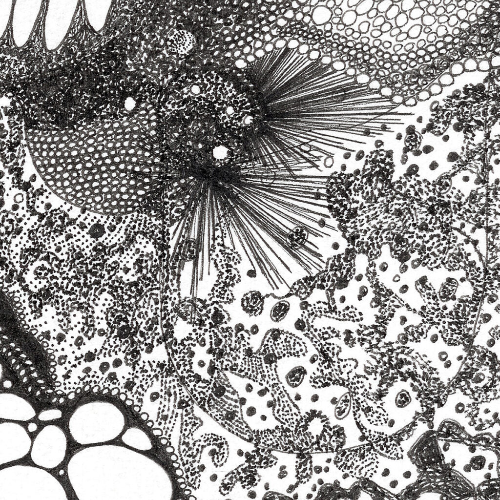 05_FINEART00002