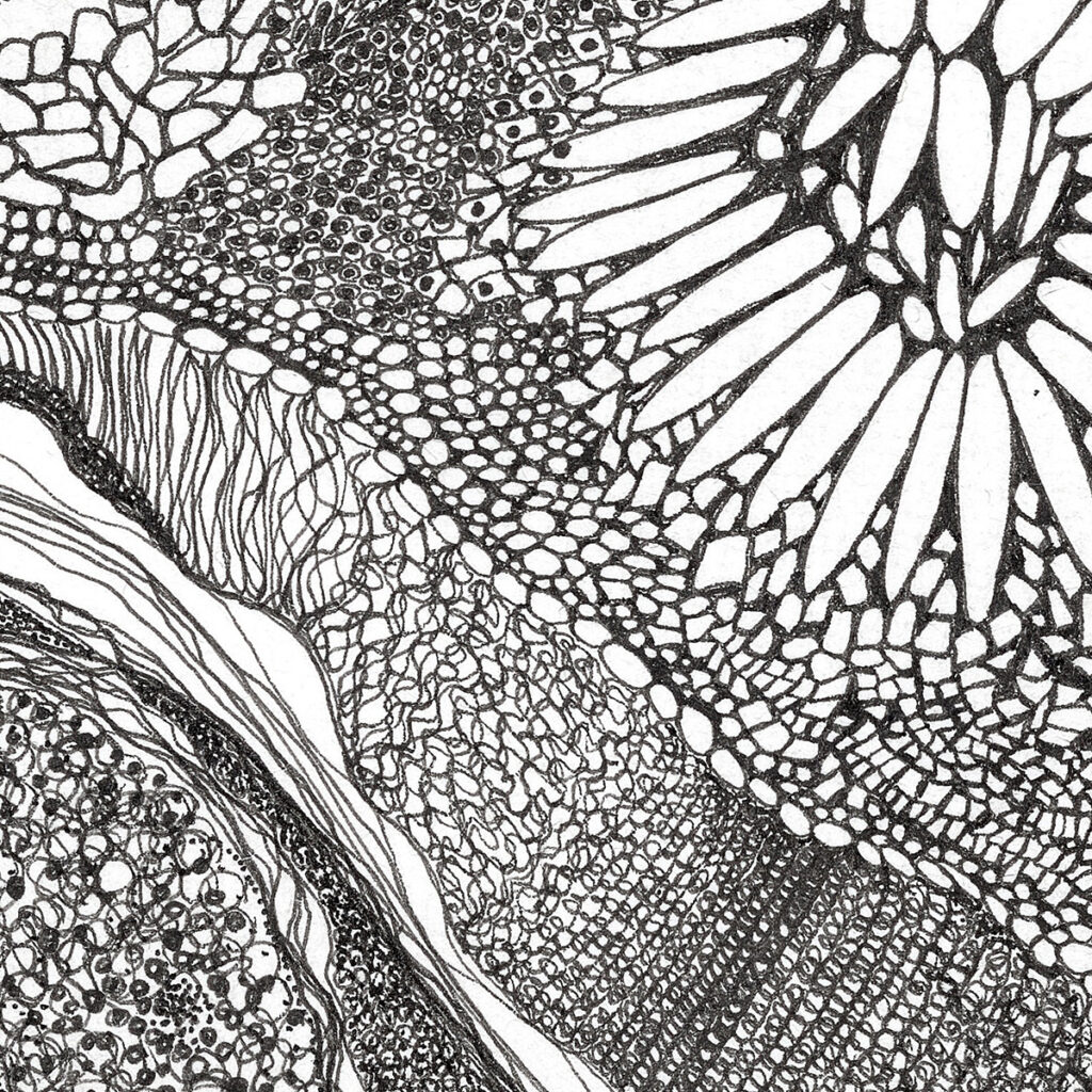 05_FINEART00003
