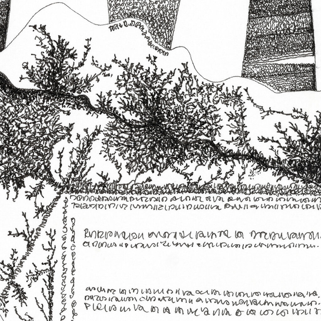 06_FINEART00002