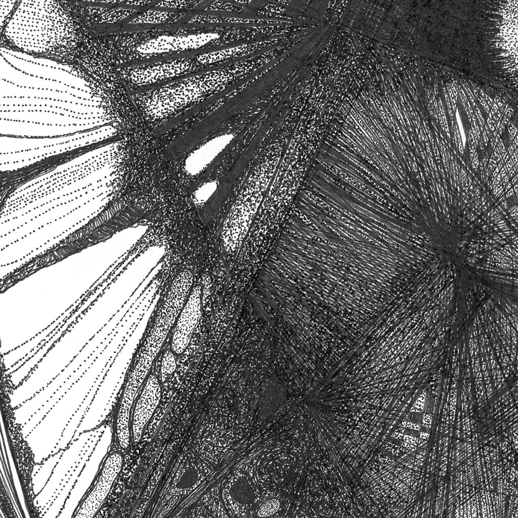 07_FINEART00002