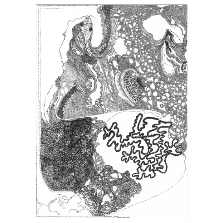 08_FINEART00001