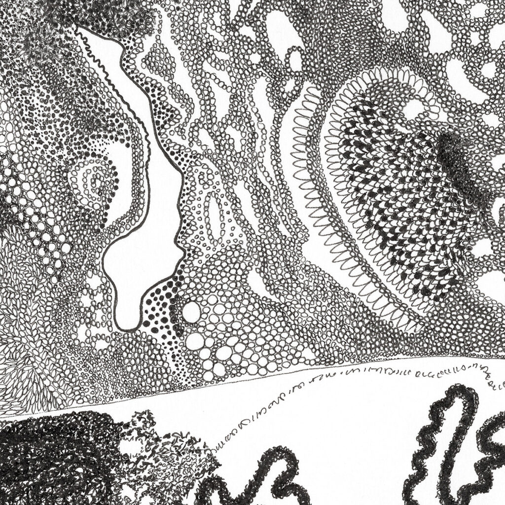 08_FINEART00004