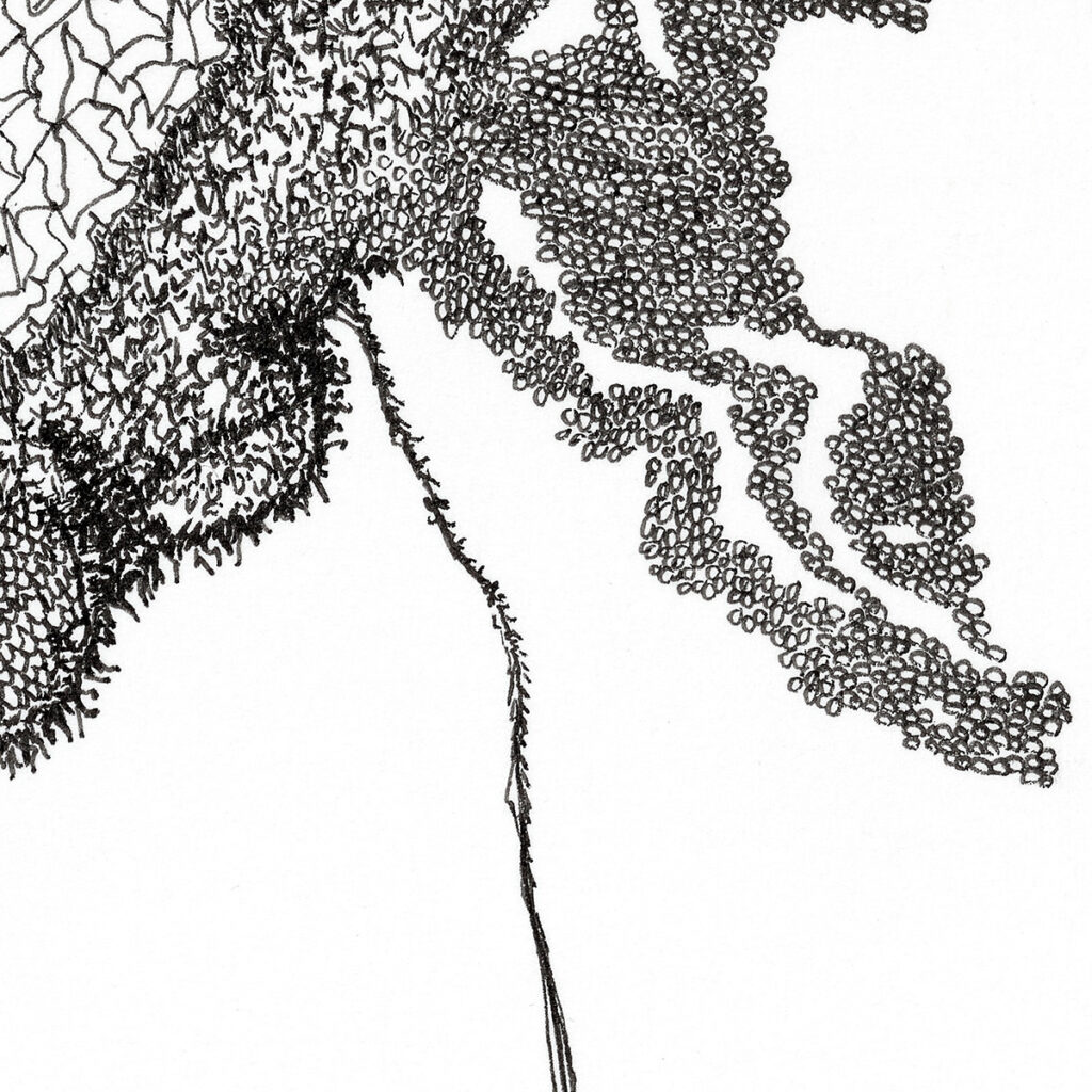 18_FINEART00004