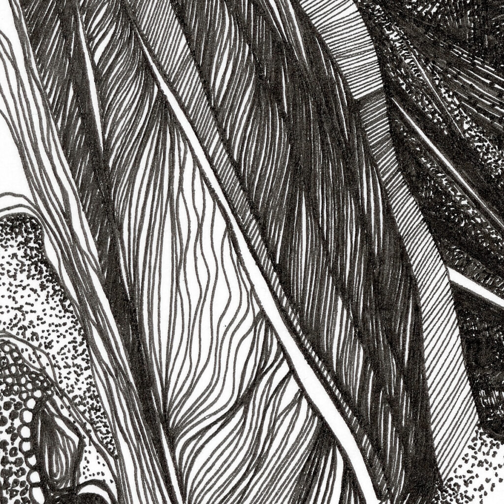 19_FINEART00004